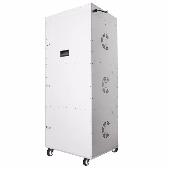 Dried Vegetable and Fruit Dehydrator