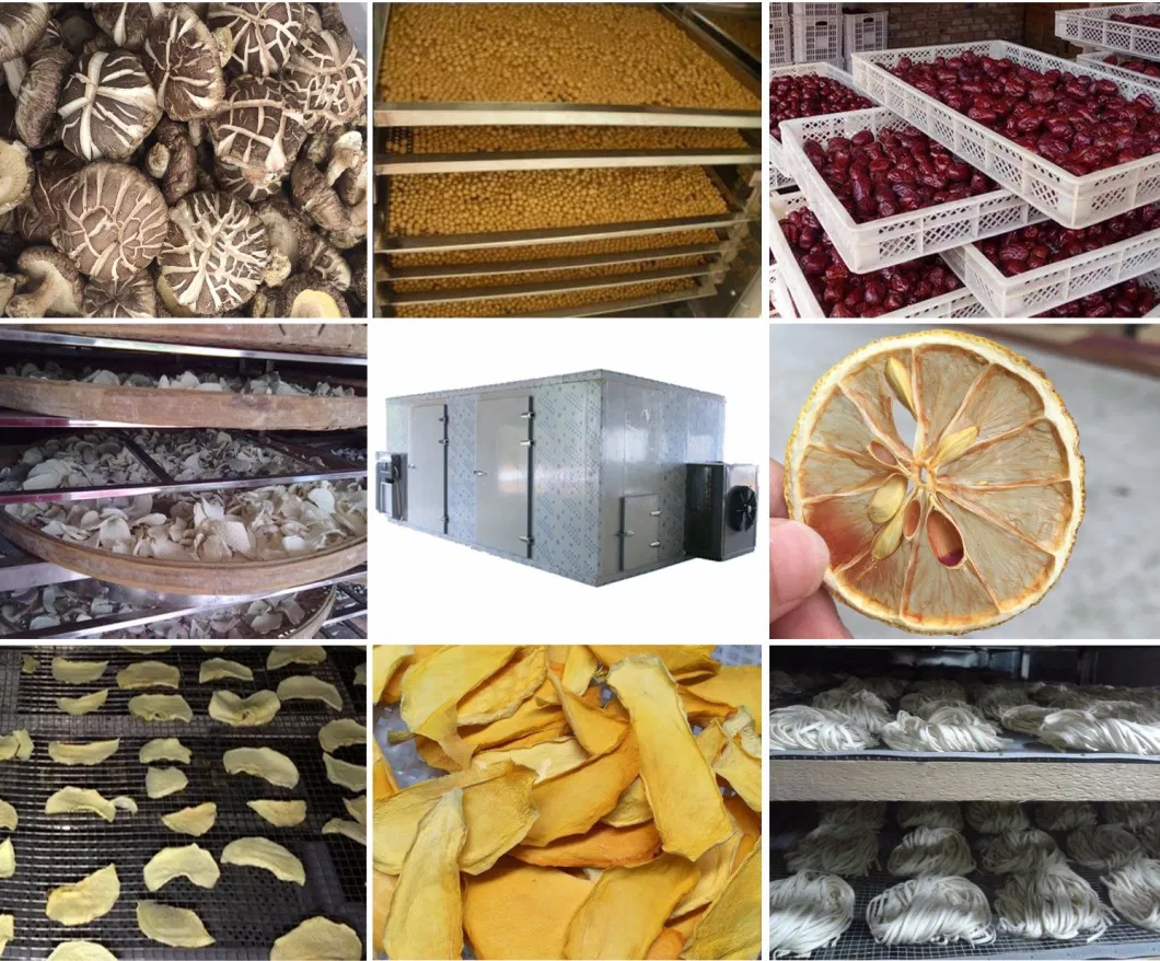 Best Selling Mushroom Drying Equipment /Dehydrator for Vegetable and Fruit