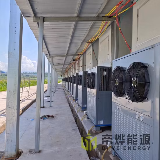 Plum Drying Machine Heat Pump Dehydrator