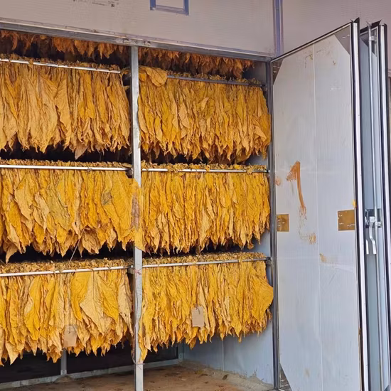 Plum Drying Machine Heat Pump Dehydrator