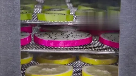 Dried Vegetable and Fruit Dehydrator